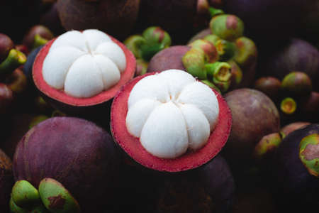 Fresh ripe mangosteen fruits and cross section showing the thick purple skin and white flesh.