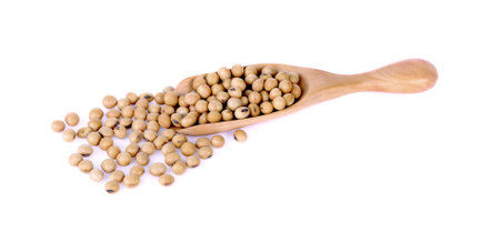 soy beans on the white backgroundの写真素材