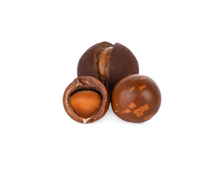 Macadamia nuts on white backgroundの写真素材