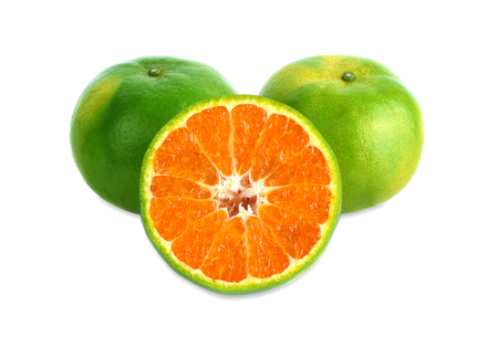 green tangerine isolated on white backgroundの写真素材