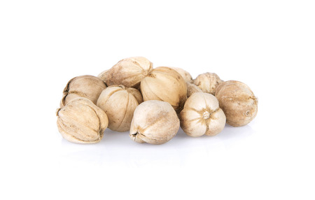 Exotic spices concept organic Siam or Thai Cardamom pods on white background.の写真素材