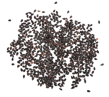 black sesame on white backgroundの写真素材