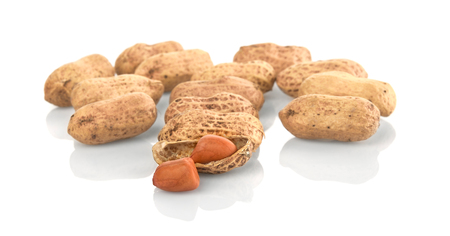 Peanuts, nuts in shells on white backgroundの写真素材