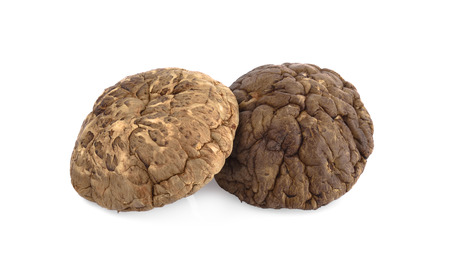 dried shiitake mushrooms, chinese mushrooms on white backgroundの写真素材