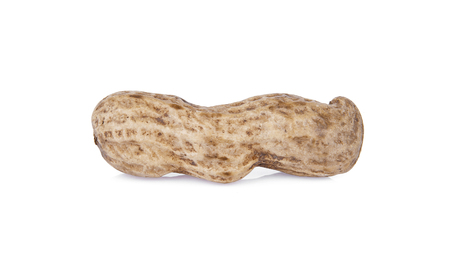 peanuts in shell on white backgroundの写真素材