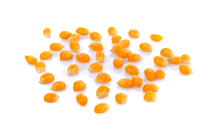 Dried yellow corn kernels on white backgroundの写真素材