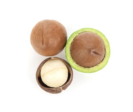 macadamia nuts isolated on white background.の写真素材