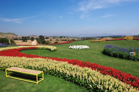 Garden with walking pathの写真素材