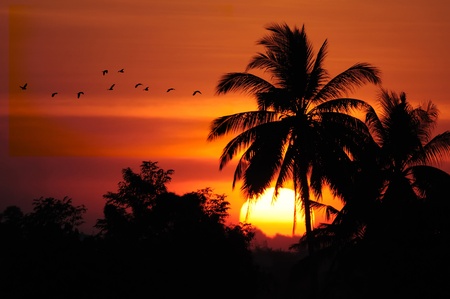 Sunsetの写真素材