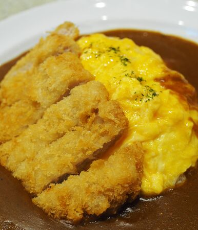 Tonkatsu Omelet Curry Riceの写真素材