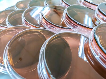 Eosin methylene blue agarの写真素材