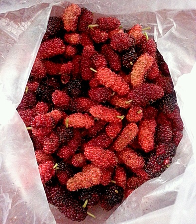 Mulberryの素材