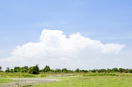 Green meadow under blue sky with cloudsの写真素材