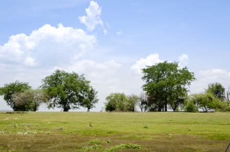Green meadow under blue sky with cloudsの写真素材