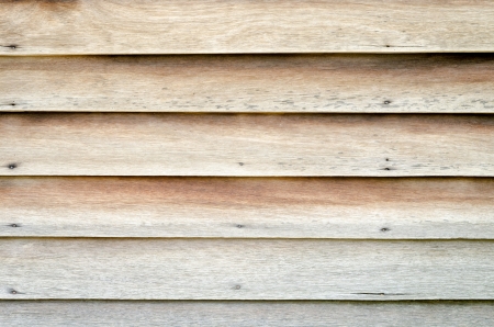 Wood Texture Background of old dead the treeの写真素材