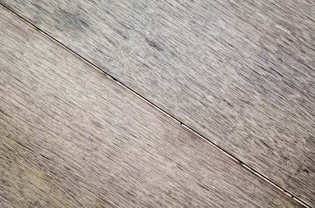 Wood Texture Background of old dead the treeの写真素材