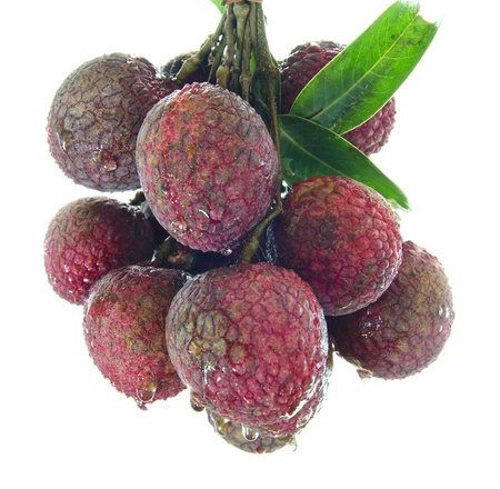 Fresh of litchi fruit isolated on white backgroundの写真素材