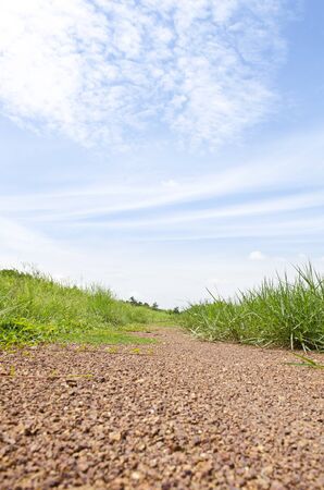 Country road to forest with blue skyの素材