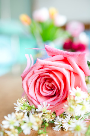 Roses bouquet and small white flower ,petals background.の写真素材