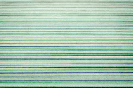 Old Green carpet texture for bacrground . の写真素材