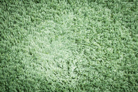 Green carpet. Background. Textile texture.の写真素材