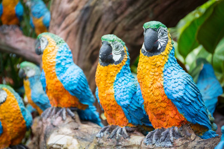 concrete codel colorful macawsの写真素材