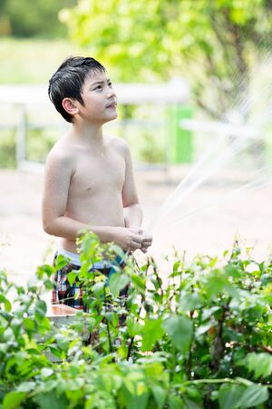Little Asian boy watering the tree, standing in the shade of a tree in the garden on a hot summer day.の写真素材