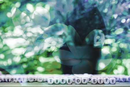 Abstract flower background with word TREE OF LIFE . flowers made with color filtersの写真素材