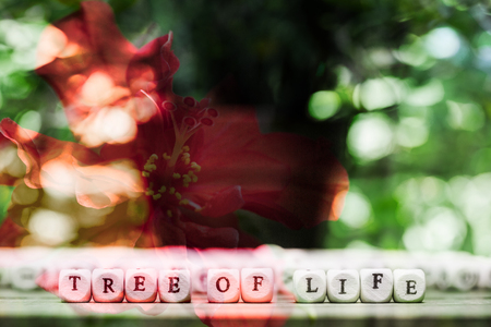 Abstract flower background with word TREE OF LIFE . flowers made with color filters