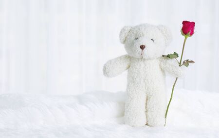 Bear dall is holding an amazing of red roses Huge valentines surprise .の写真素材