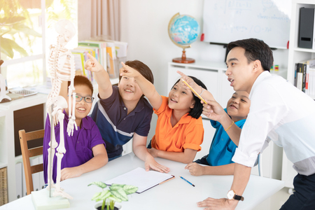 Asian teacher explains a human body structure to little pupil.の写真素材