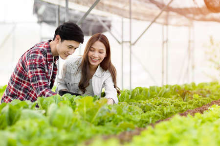 Smart farm and farm technology concept.Smart young asian farmer  using tablet to check quality and...