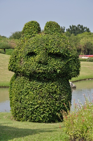 Trimmed bush in gardenの写真素材