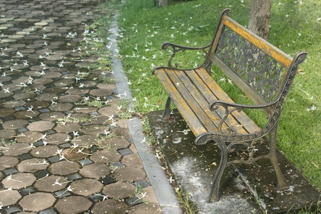 bench brown in the park and white flowers falling around the floor.の写真素材