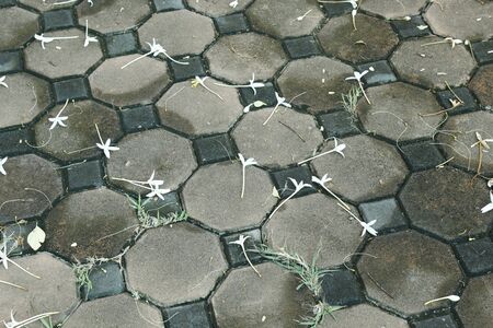 Stone blocks in the walkwayの写真素材