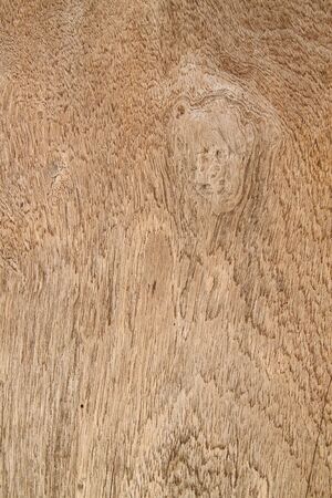 Wood backgroundの写真素材