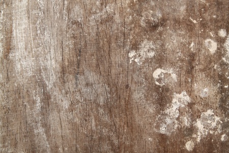 Old piece of weathered wood の写真素材