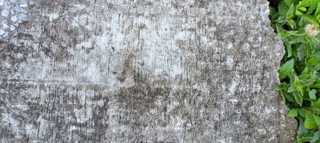 Old cement texture background . Top view.の写真素材