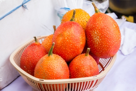 The orange spiny roundの写真素材