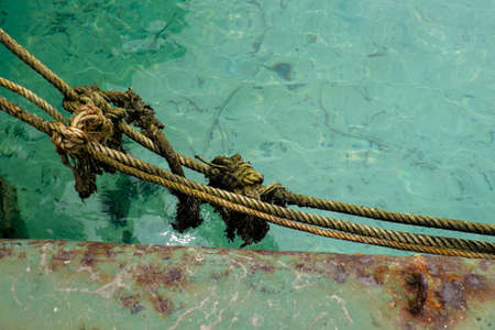 Old Dirty Rope with the Lichen at the Sea