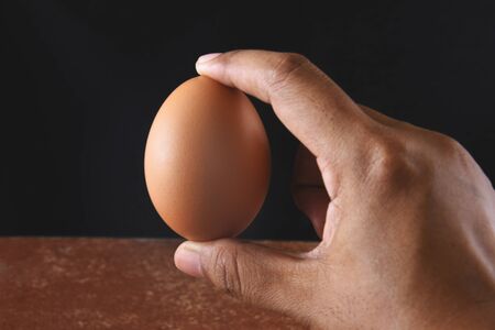 Hand Holding Egg with Gentleの写真素材