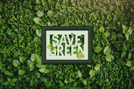 Ecology concept, Save green word inside wooden photo frame, surrounding with Natural Green Leafの写真素材