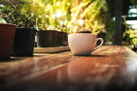 Coffee Cup on Wooden Table in Cafe. Surrounded by Tree and Natureの写真素材