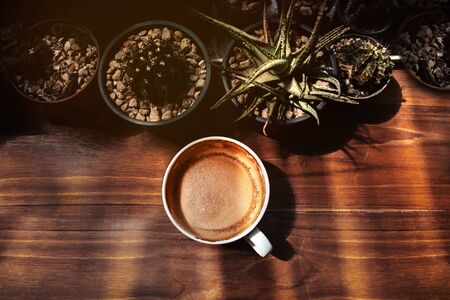 Hot Coffee Latte Cup on Wooden Table under with Natural Light. Top View. Surounded by mini Cactus Tree Pot. Warm Toneの写真素材
