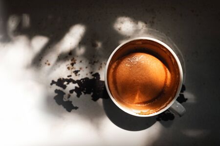 Hot Coffee Latte Cup on White Loft Table under the Tree. Top Viewの写真素材