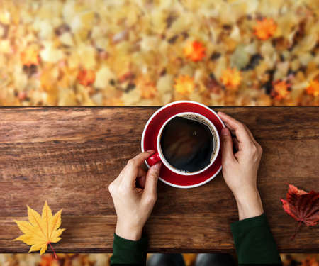 Drinking Coffee in Fall and Autumn Season. Person with Hot Coffee Cup, Sitting at Backyard or Park in Autumn. Colorful Foliages on ground as background. Top Viewの写真素材