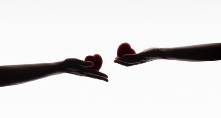 Love, Care, Donation and Sharing Concept. Silhouette of Hands with Heart symbol. isolated on White backgroundの写真素材