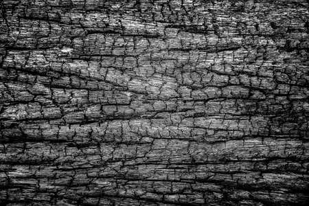 Closeup of Old and Grunge Wooden Texture Surface Background, Dark, Black and Whiteの写真素材