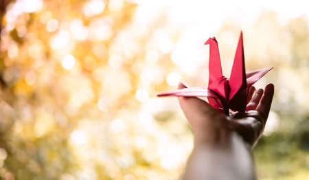 Freedom, Imagination,Mental Health and Creativity Concept. opened Hand Guesture with Paper Origami Bird. Positive Mind, Peaceful, Enjoying and Life Philosophyの写真素材