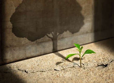 Start, Think Big, Recovery and Challenge in Life or Business Concept.Economic Crisis Symbol.New...